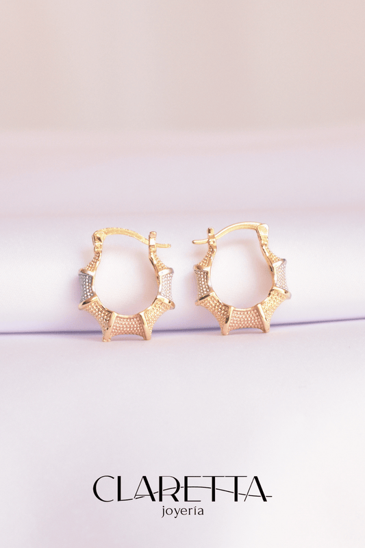 Arracadas de Chapa de oro 14k con forma de coral